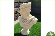 Busto Apollo h. cm. 73 149,00€